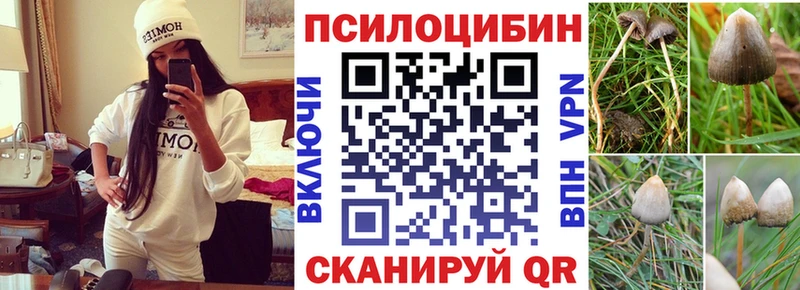 дарнет шоп  Данков  Псилоцибиновые грибы мицелий 